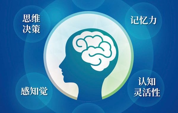 认知评估与反馈训练系统