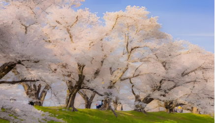 积极心理暗示的“能量魔法”：皮格马利翁效应