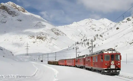 图片11.png 图片11.png